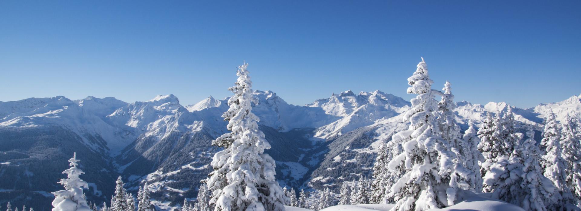 Alpes-du-sud