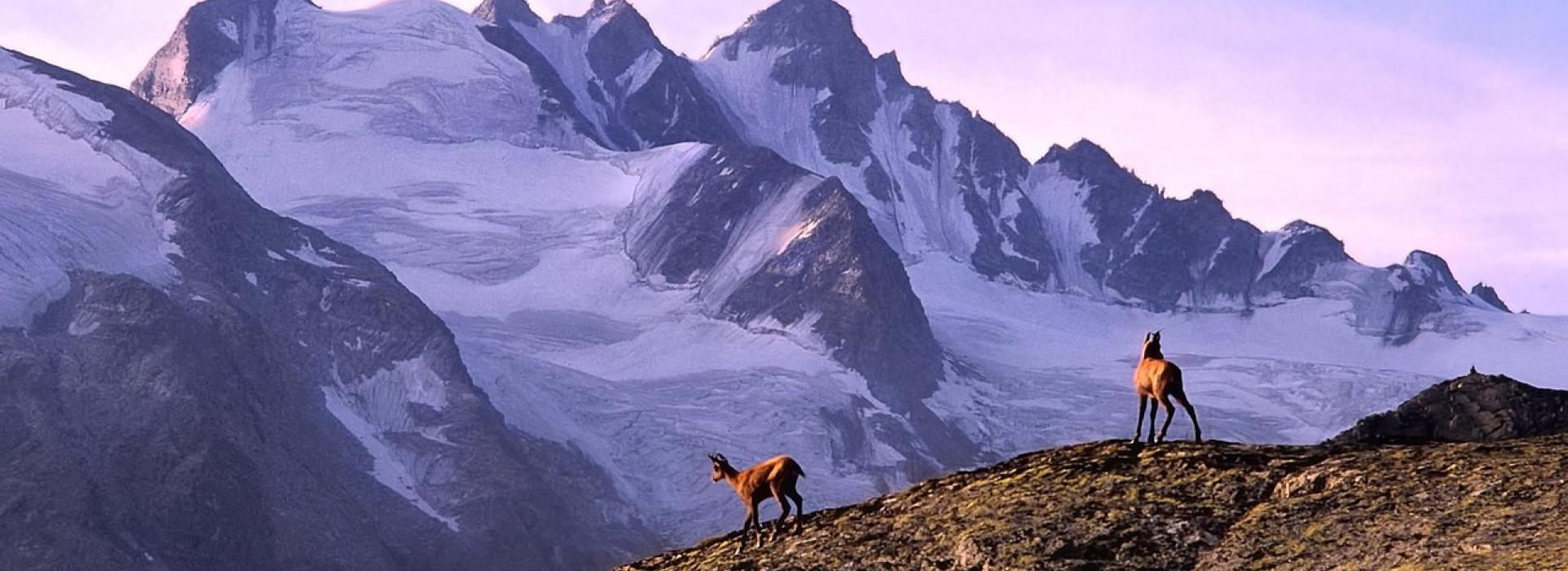 Deesse voyages - Alpes nature