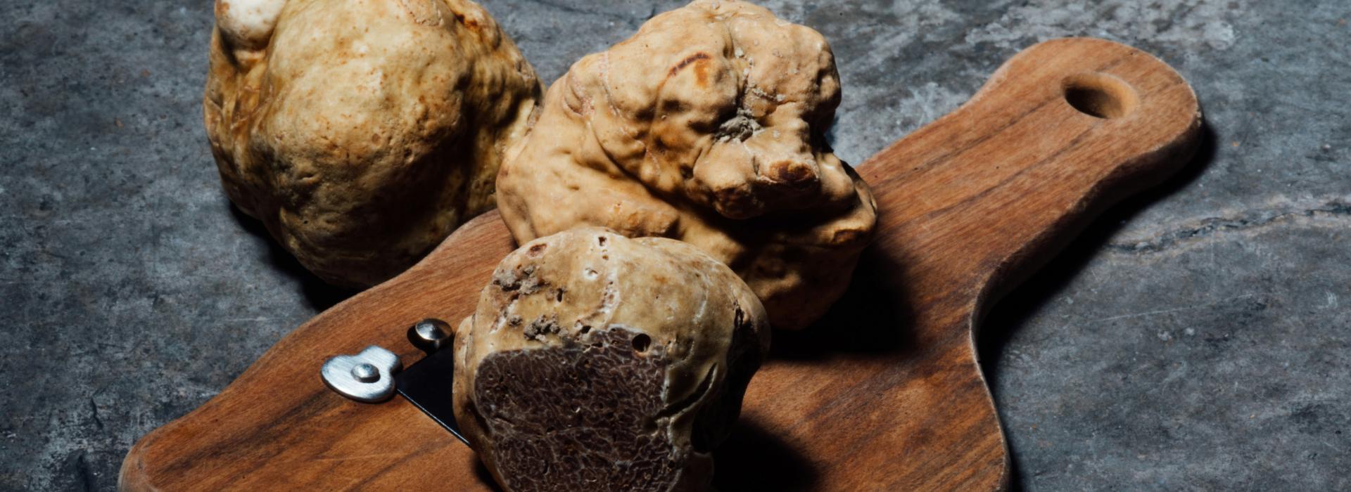 Truffle