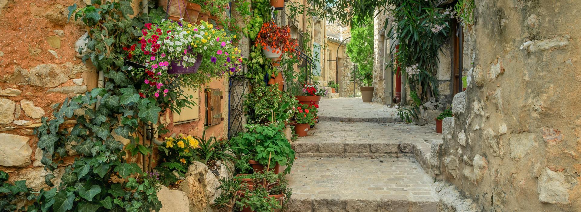 Ruelle fleurie provence