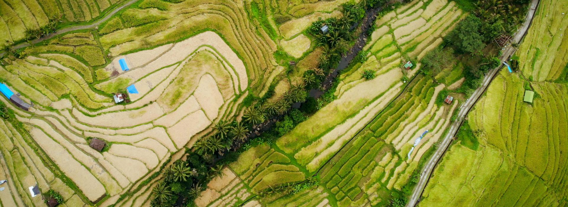 Déesse Voyages - Bali
