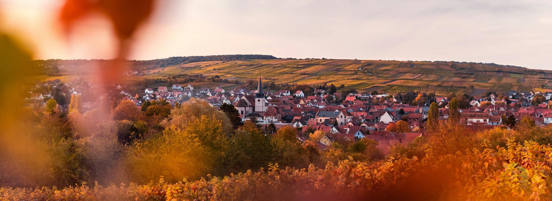 Déesse voyages - Anniversaire 15 ans