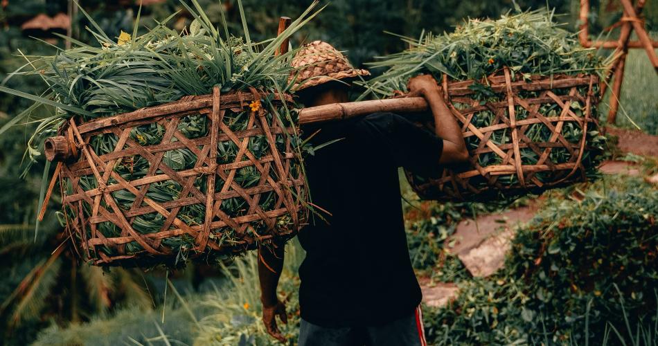 Déesse Voyages - Bali - Voyages à la carte