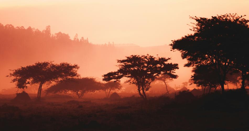 Déesse Voyages - Rwanda - Voyages à la carte
