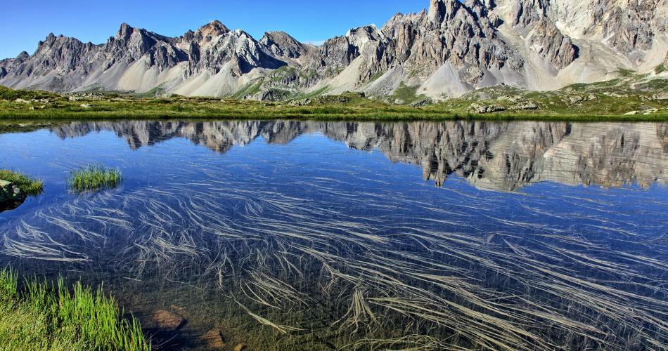 Pure Alps - amazing nature