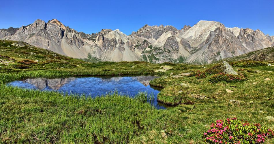 Pure Alps - mountain lake