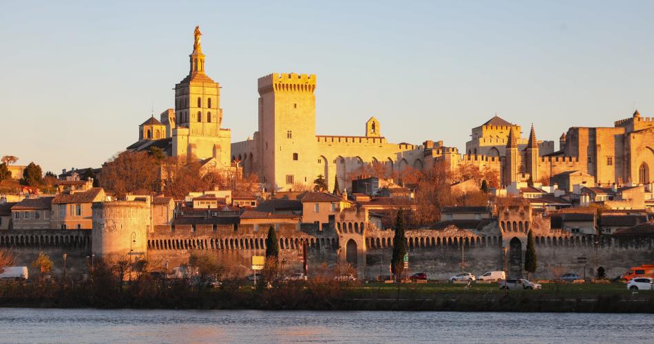 Avignon from the Rhône