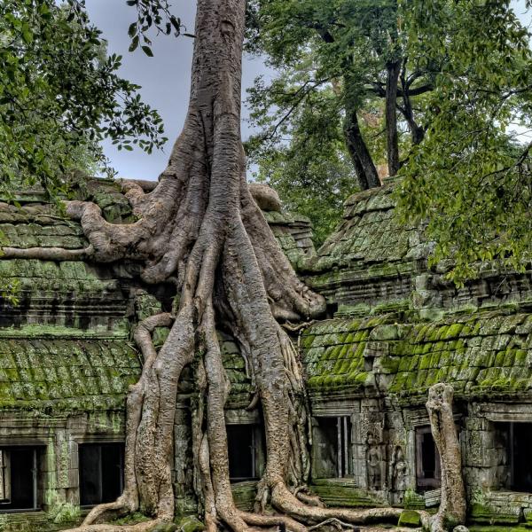 DEESSE VOYAGES - Laos Cambodge