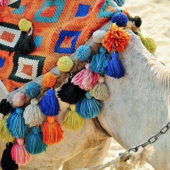 DEESSE VOYAGES - EGYPTE