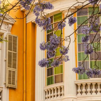 Nice - window