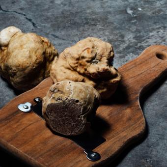 Truffle