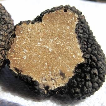 Truffe coupee