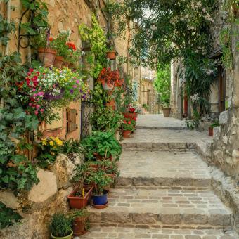 Ruelle fleurie provence