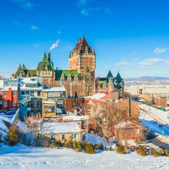 Déesse Voyages - Québec - Chiens de traineaux