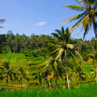 Déesse Voyages - Bali - Women only