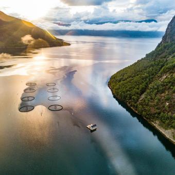 Déesse Voyages - Norvège