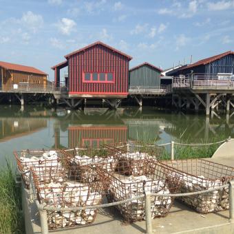 Déesse voyage - L’île d’Oléron