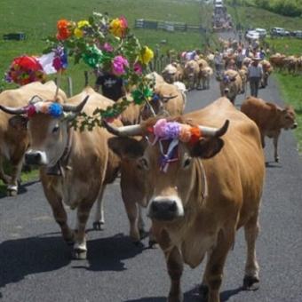 Deesse voyages - Tryol