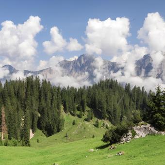 Deesse voyages - Tryol