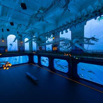 Déesse voyages - Monaco 