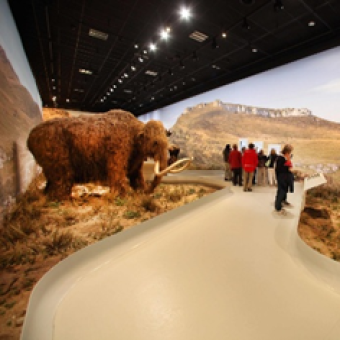 Déesse voyages - Ardèche 